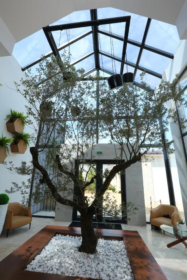 Valentino Rooms Focşani Extérieur photo